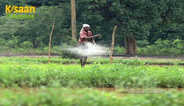 यूरिया के उपयोग को कम करने और उत्पादकता बढ़ाने के लिए पादप पोषक तत्वों के लिए नैनो प्रौद्योगिकी का उपयोग